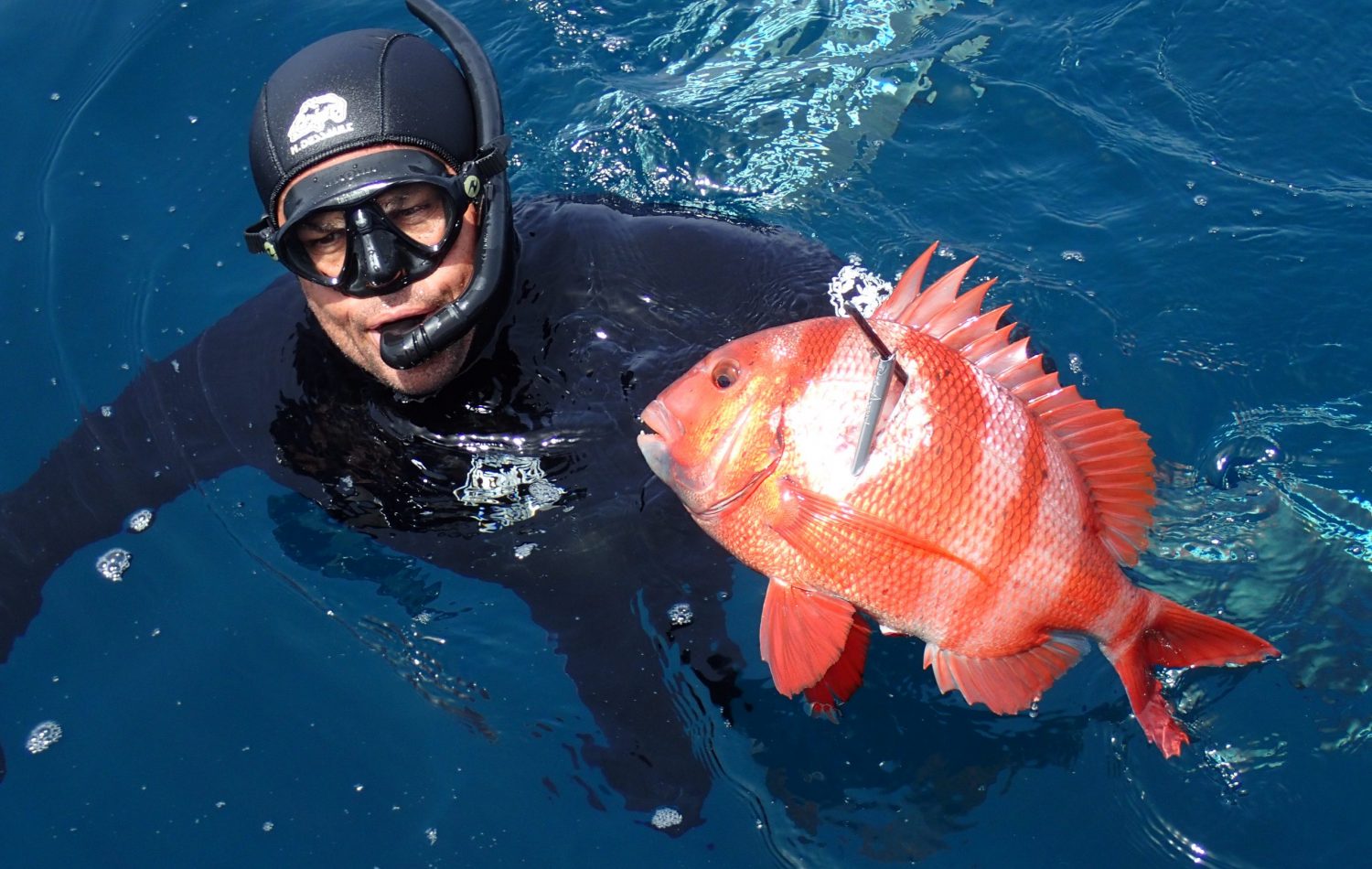 chasse sous marine auberge tigmi blue imsouane maroc