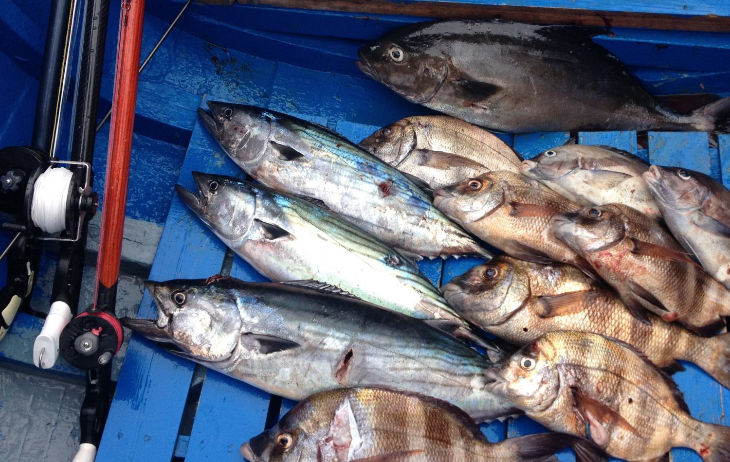 chasse sous marine auberge tigmi blue imsouane maroc